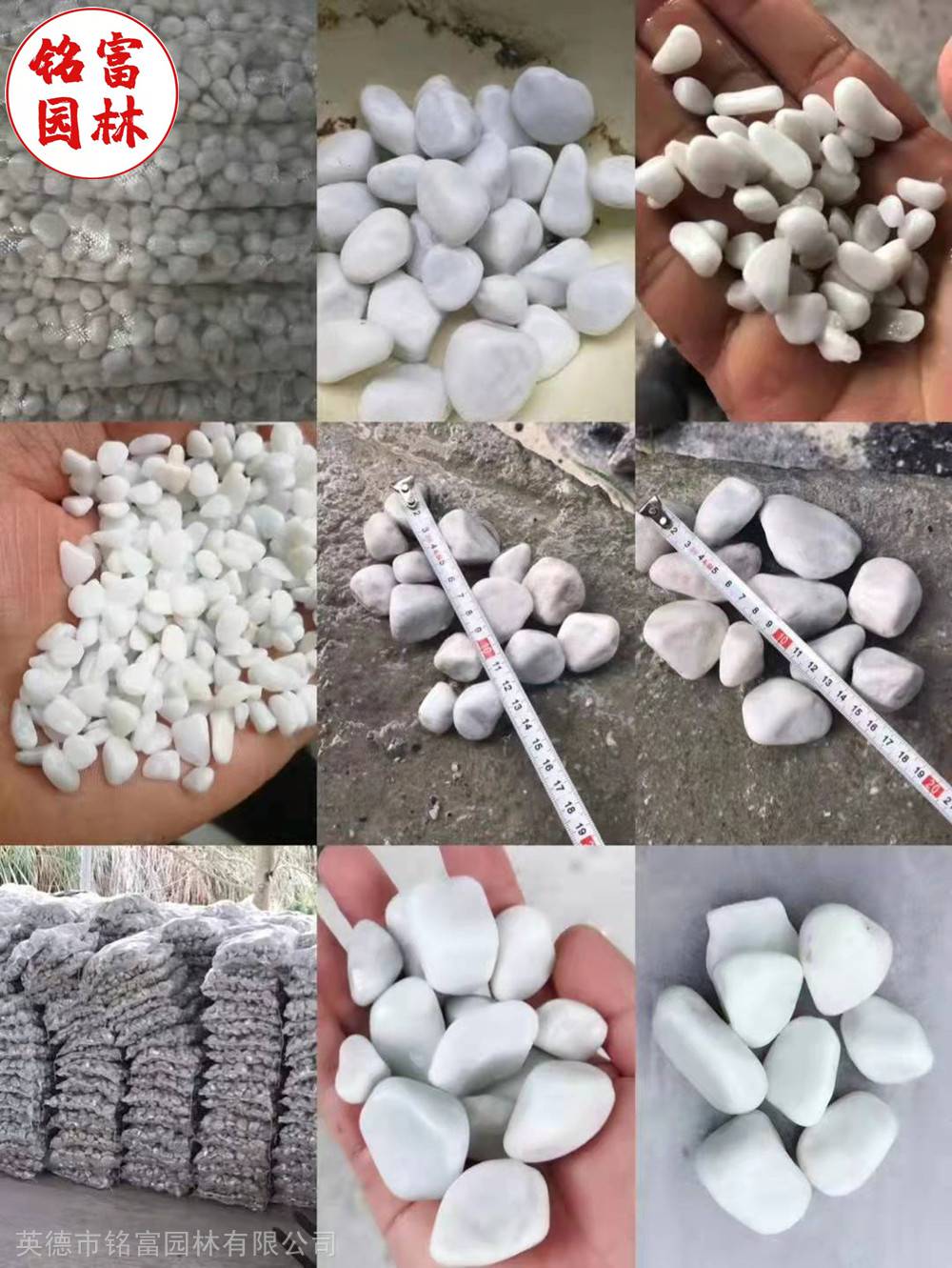花园路径铺路石-白色鹅卵石-茂名鹅卵石厂家(图4)