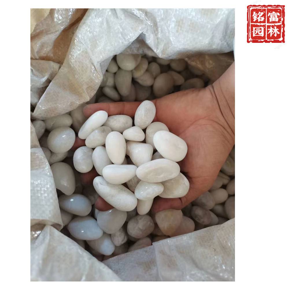 花园路径铺路石-白色鹅卵石-茂名鹅卵石厂家(图9)
